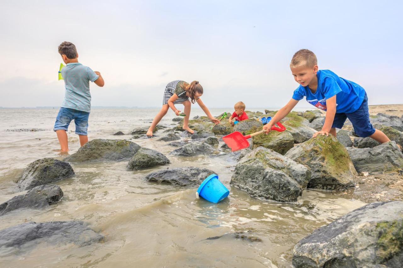 Luxe 5-Persoons Chalet Op Familiecamping Baarland Екстер'єр фото